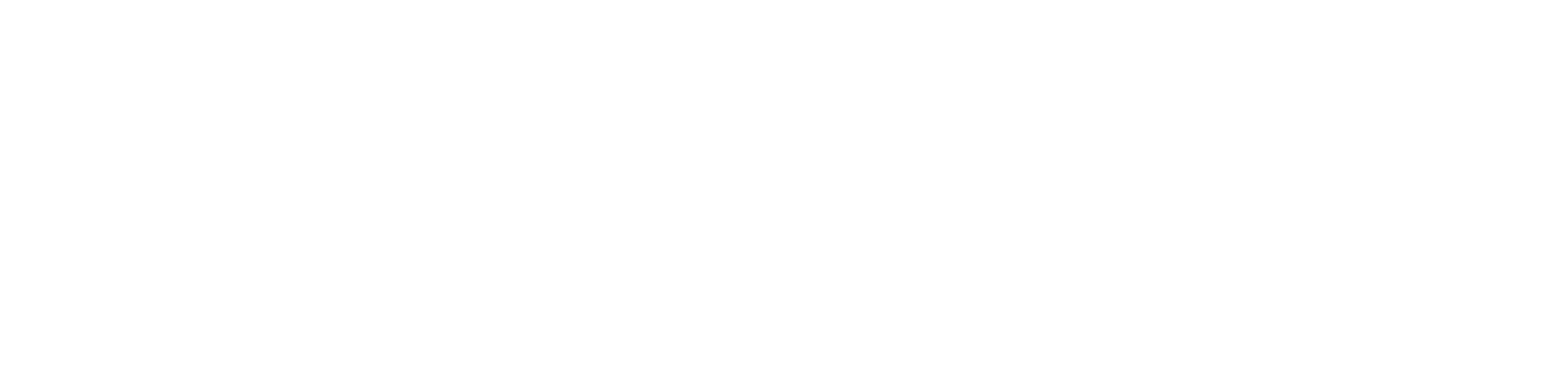 ZSoft IT Logo